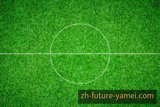 欧冠与英超强强对话深度战术前瞻